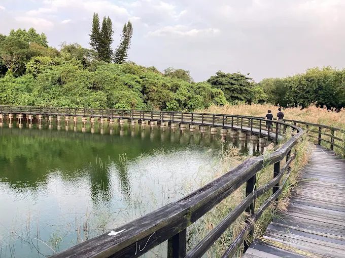 走進台南七股鹽山踩上白色鹽丘，串起小南海湖畔與左鎮化石園區的靜靜時光