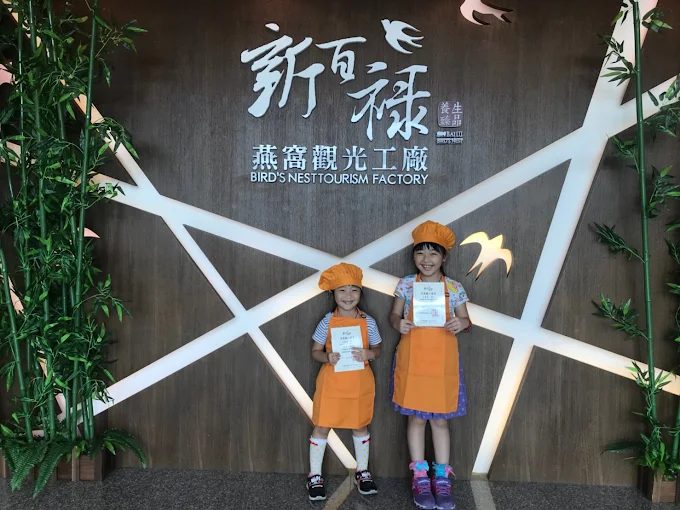 台南必訪觀光工廠｜親子最愛的5大DIY體驗，好玩又長知識！