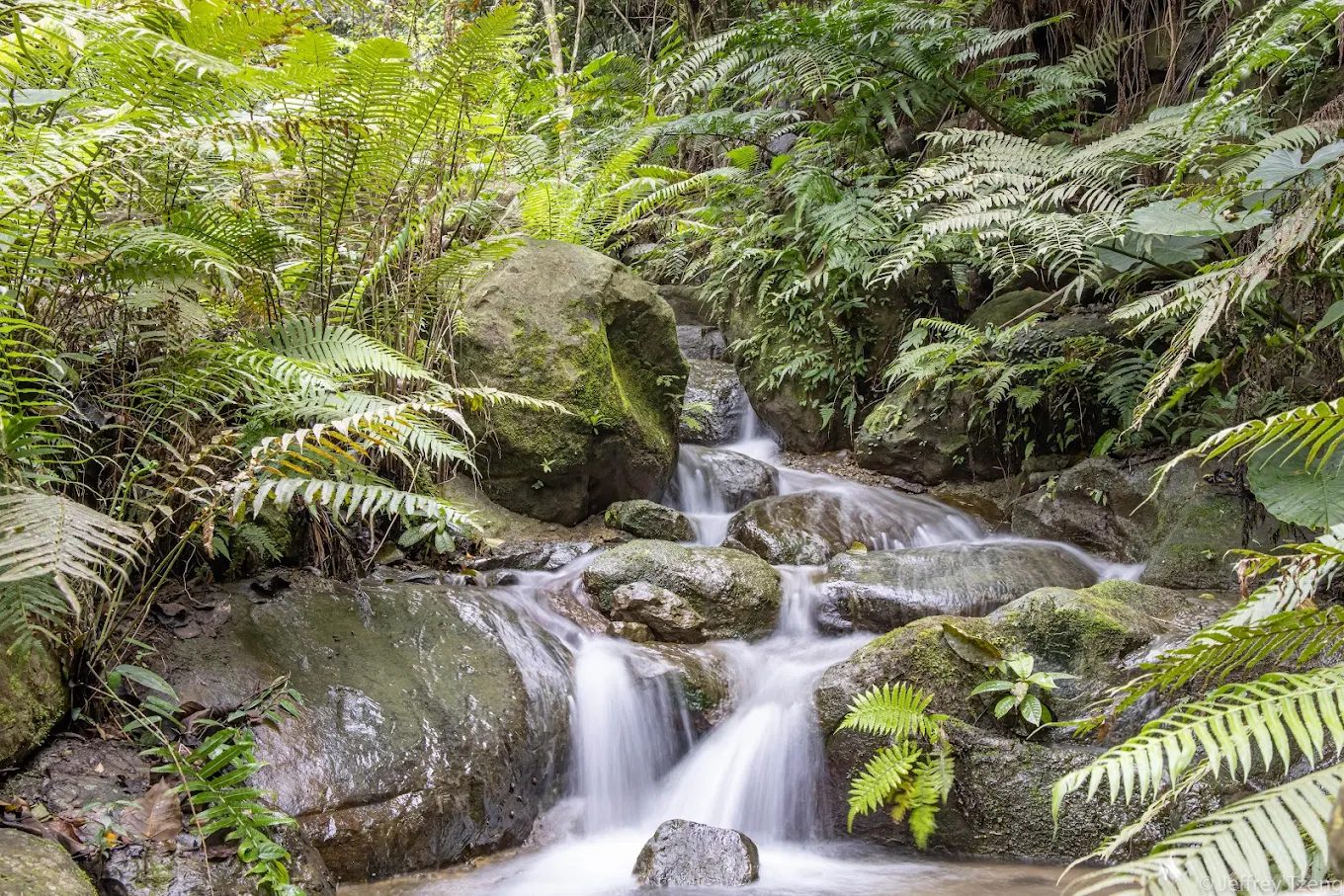 三峽大板根森林溫泉酒店｜台北40分鐘的森林度假秘境