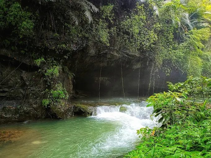 苗栗南庄蘇維拉莊園|夢幻樹屋、豪華露營與親子溜滑梯一次滿足!