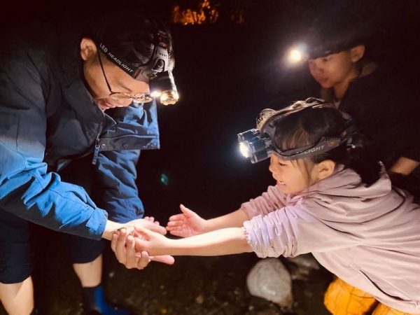 花蓮晚上去哪玩？夜景秘境、東大門夜市、浪漫約會景點全收錄