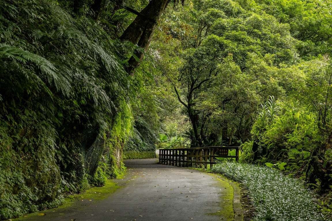 內洞國家森林遊樂區全攻略｜烏來內洞瀑布、交通、門票與步道美食一次看