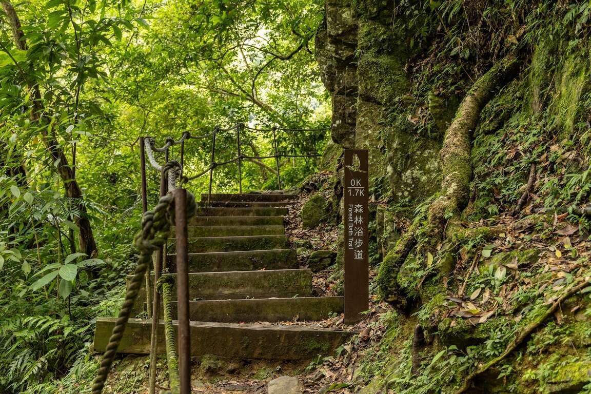從烏來走進內洞國家森林遊樂區沿溪谷觀瀑步道慢慢前行，在水聲與森林氣息裡遇見瀑布群