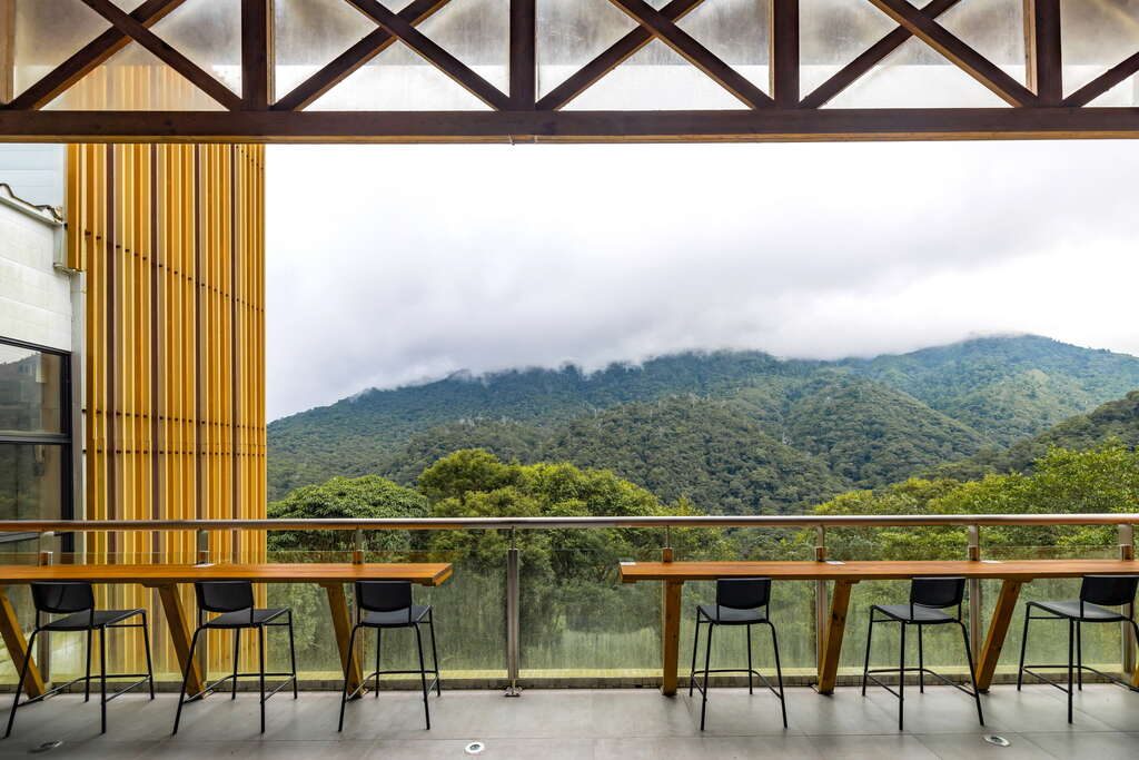 拉拉山神木群步道｜探索台灣千年紅檜秘境，感受2800年巨木震撼