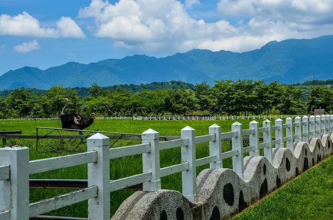 台灣自駕三大經典路線|台9線、台11線、台18線完整攻略:景點+住宿一次看