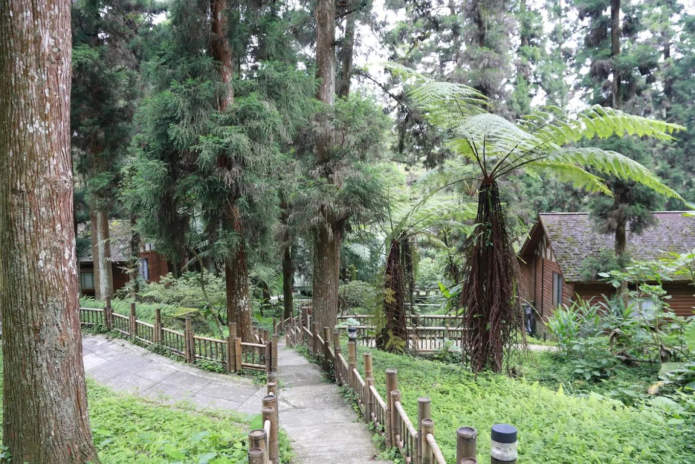 被森林環繞的優美旅宿建築