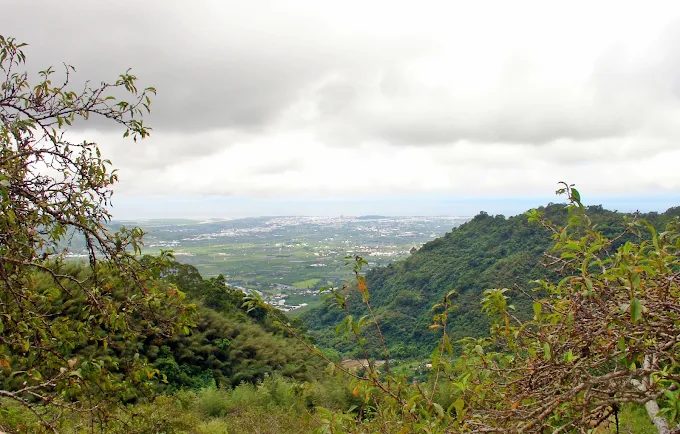 利嘉林道全攻略｜台東卑南秘境步道，賞螢觀星與都蘭山美景一次滿足