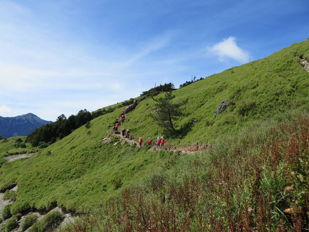 在合歡山迎著風走過草原與稜線看雲海翻動的高山風景
