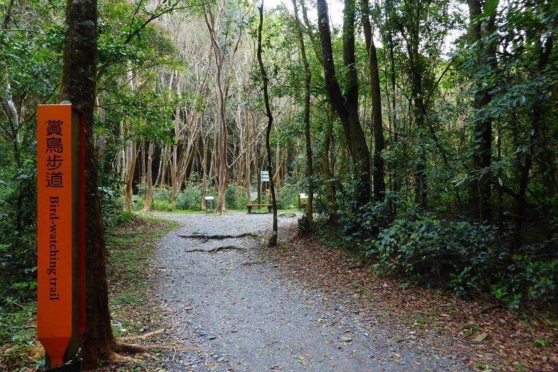 秋冬必訪!奧萬大森林遊樂區|楓紅絕景、健行步道與自然教育體驗