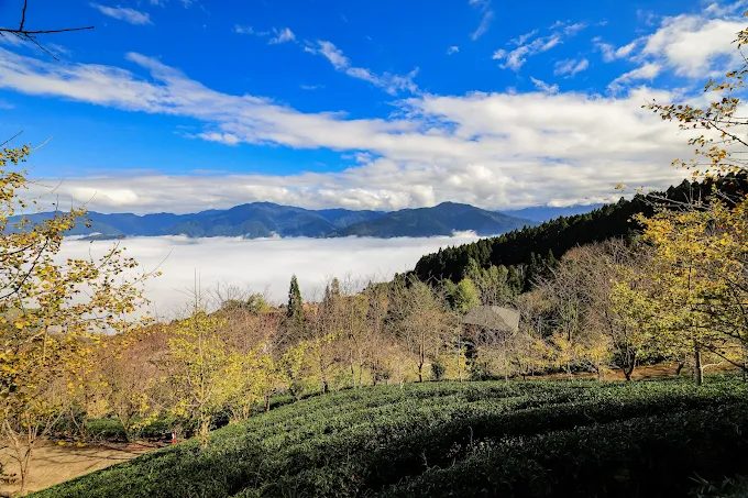 新竹五峰秘境！山上人家森林農場一日遊攻略｜四季美景、住宿餐飲全公開