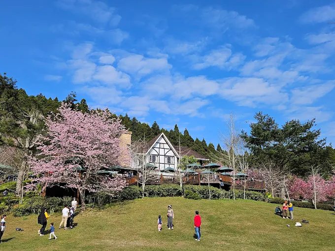 新竹五峰秘境！山上人家森林農場一日遊攻略｜四季美景、住宿餐飲全公開
