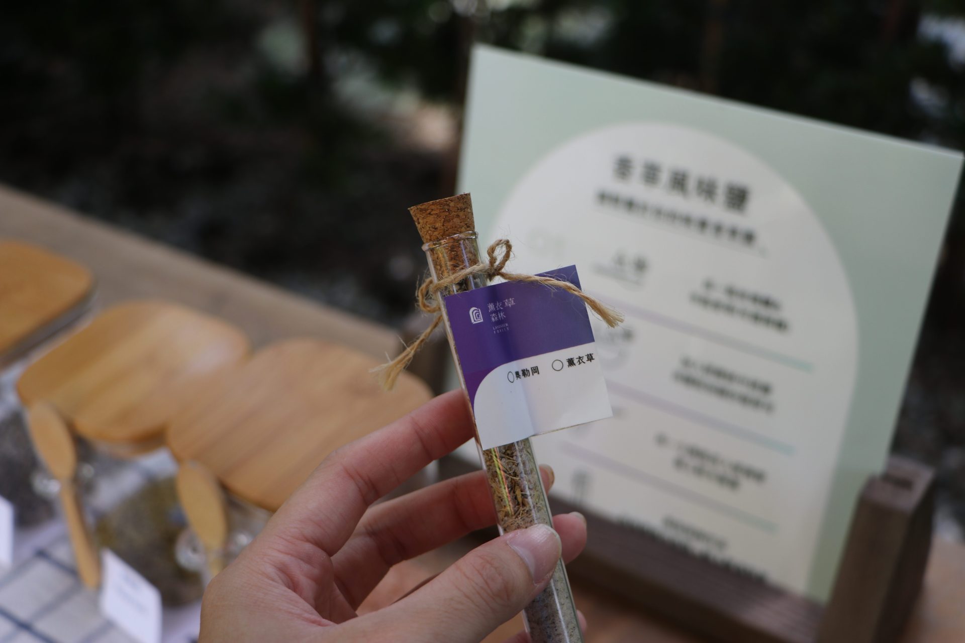 台中新社薰衣草森林｜夢幻紫色花海與香草美食，親子必訪療癒景點