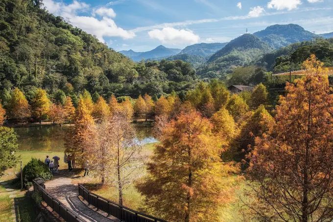 2025 苗栗民宿推薦｜5 大必住特色住宿，溫泉、手作、藝術一次滿足！