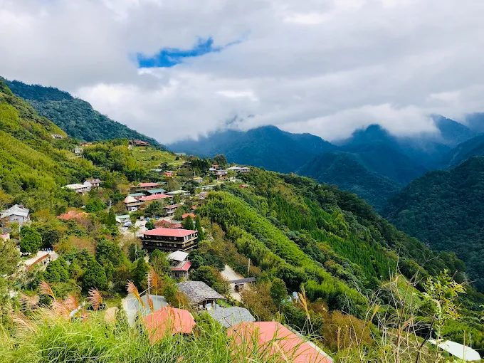 在新竹司馬庫斯的山林之中慢慢行走，讓巨木與霧氣帶你走進安靜的時間裡
