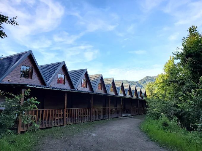 在新竹司馬庫斯的山林之中慢慢行走，讓巨木與霧氣帶你走進安靜的時間裡