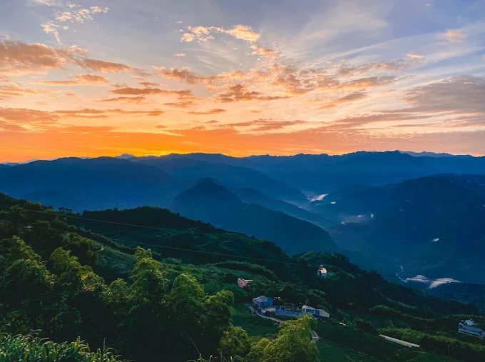 沿著嘉義梅山二尖山步道緩步而行，讓茶園層層山景替心事降溫
