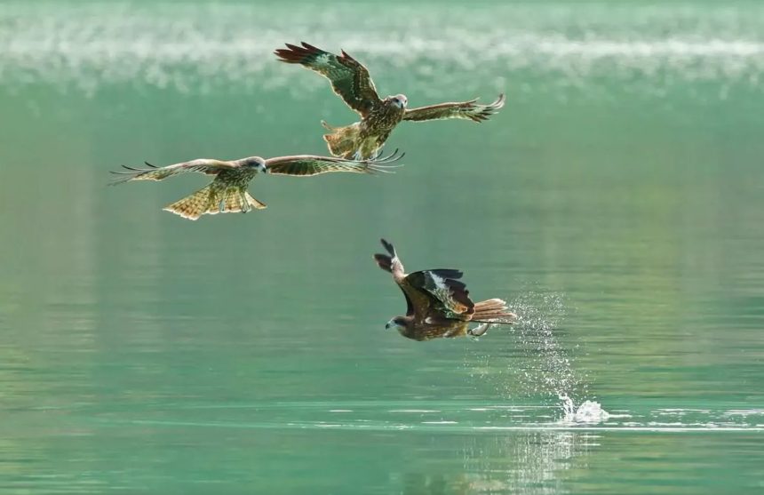 沿著嘉義山路走進曾文水庫,在晨霧與湖光之間搭船慢行看見山水靜靜展開