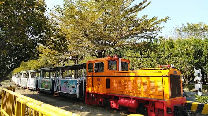 嘉義蒜頭糖廠必訪！搭五分車、吃古早味冰棒還能賞阿勃勒