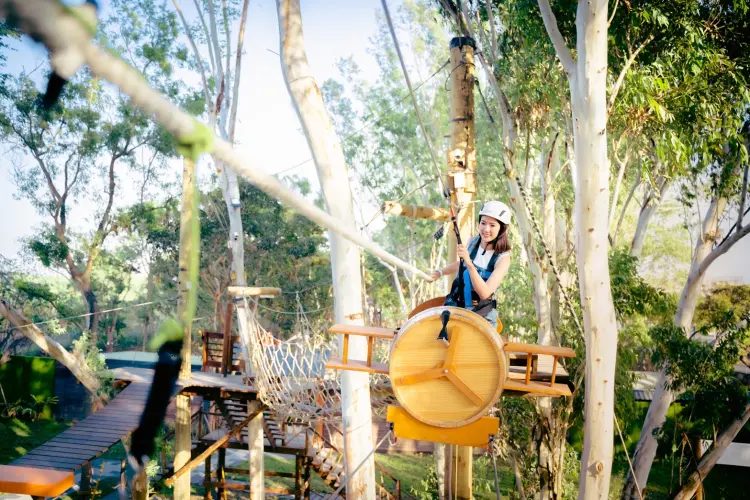 工作人員正在照顧剛出生的小動物