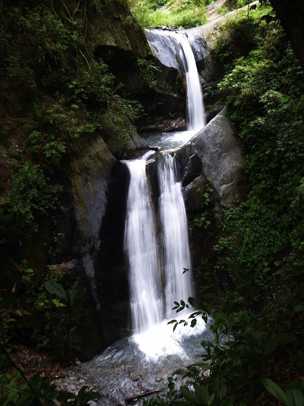 奧萬大賞楓攻略：秋季最佳賞楓景點與旅遊指南