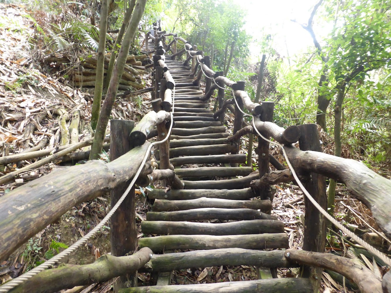 大坑九號登山步道｜探索大坑步道的隱藏美景｜讓你不再錯過的5大步道秘境