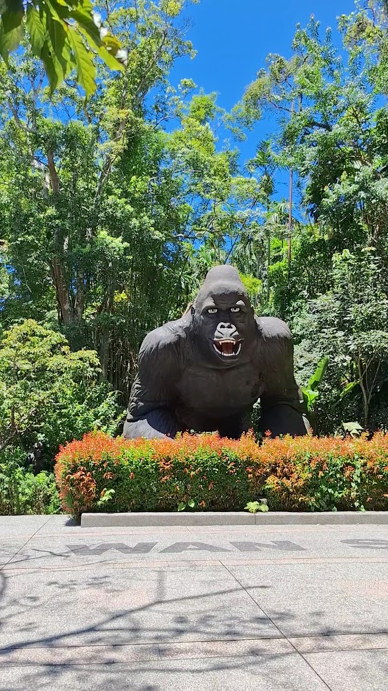 最新 2 天前|大板根森林溫泉酒店:放鬆身心的全方位森林療癒之旅