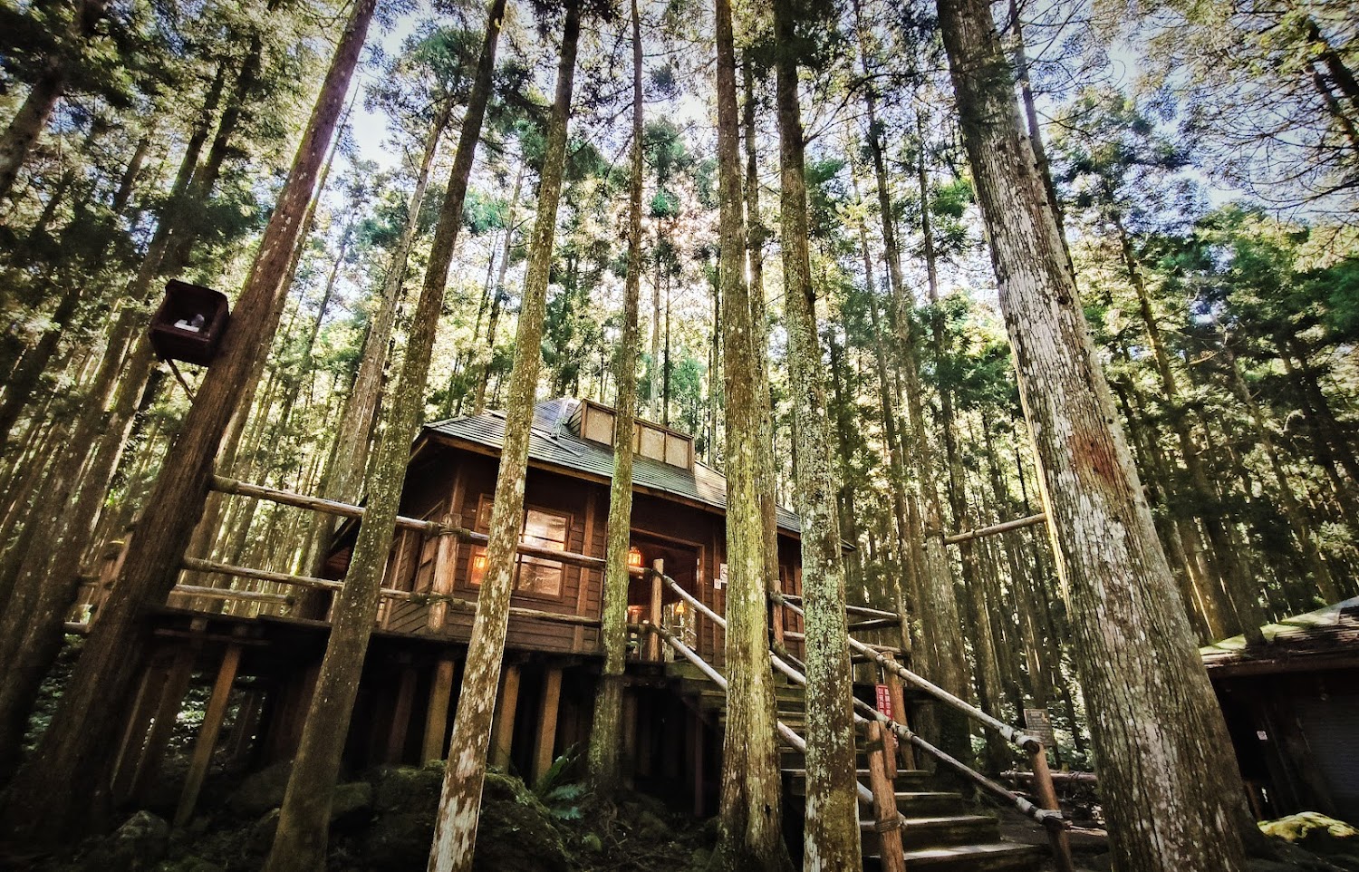 馬武督探索森林|新竹秘境:探索湖口高鐵秘境及周邊奇幻景點