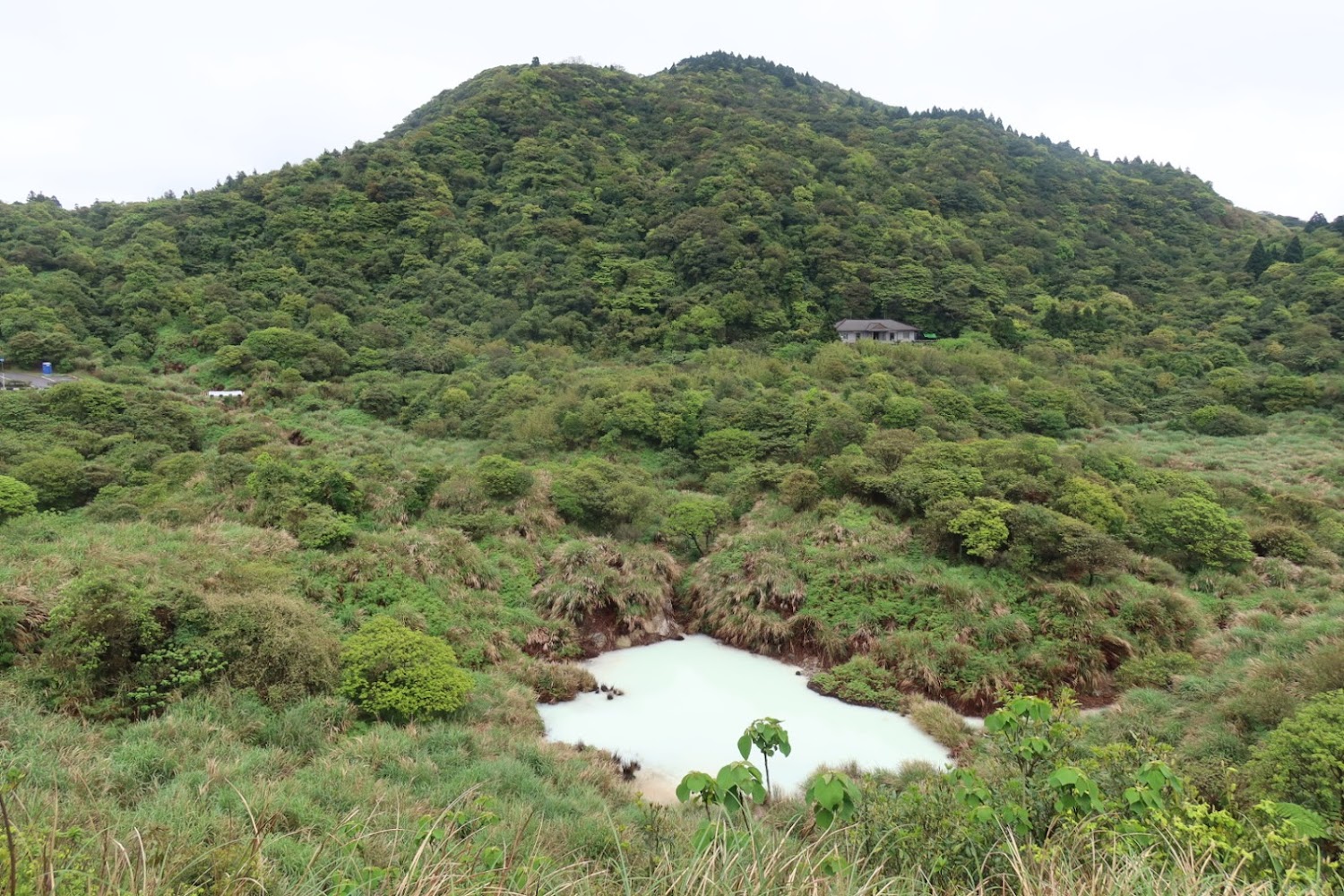 冷水坑|北部一日遊開車|陽明山國家公園及周邊景點必看攻略