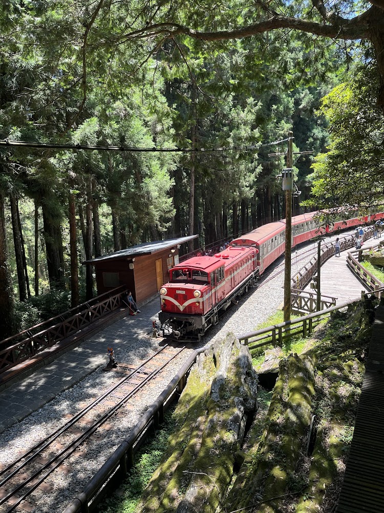 神木站｜探訪阿里山小火車的魅力｜一次滿足大自然與懷舊之旅