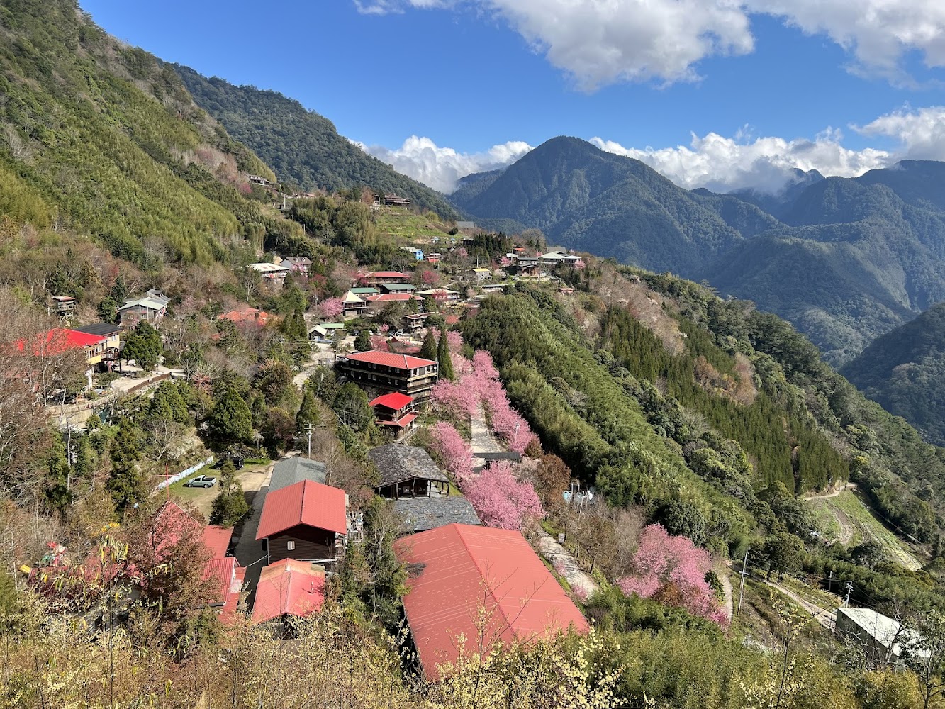 司馬庫斯美食｜司馬庫斯旅遊攻略：探索壯觀的原住民文化與自然美景