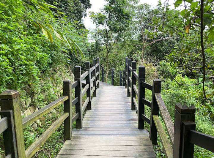 大坑十號登山步道的照片｜大坑步道：探索台中必訪的登山路線與景點