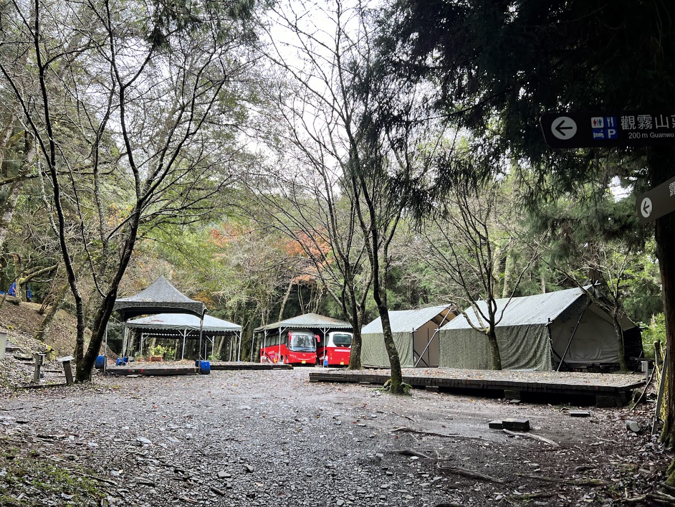 全部｜觀霧山莊-霧社櫻王的壯麗景觀與遊玩指南