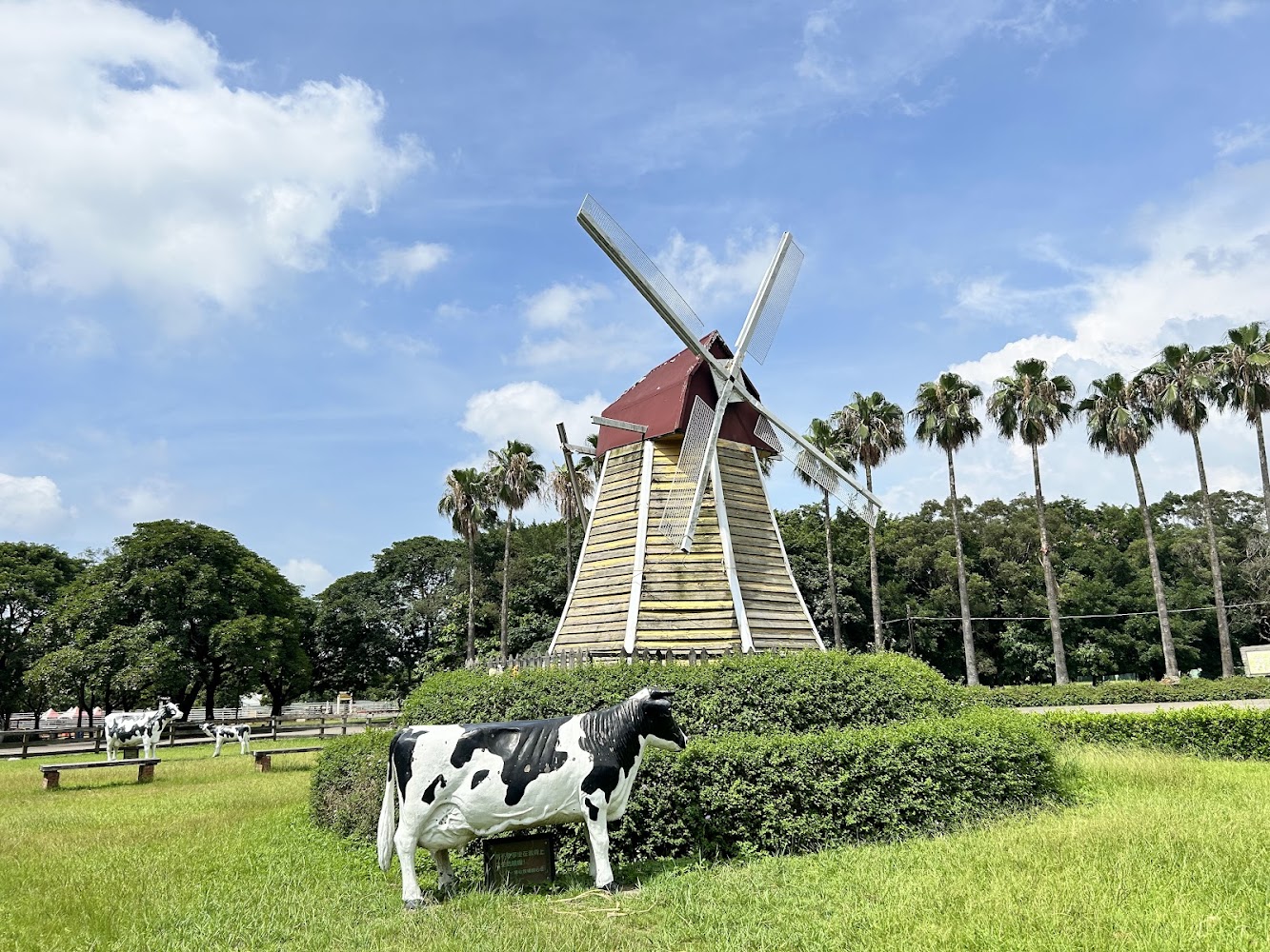 家庭友好|埔心牧場的全方位探險|家庭出遊的理想選擇