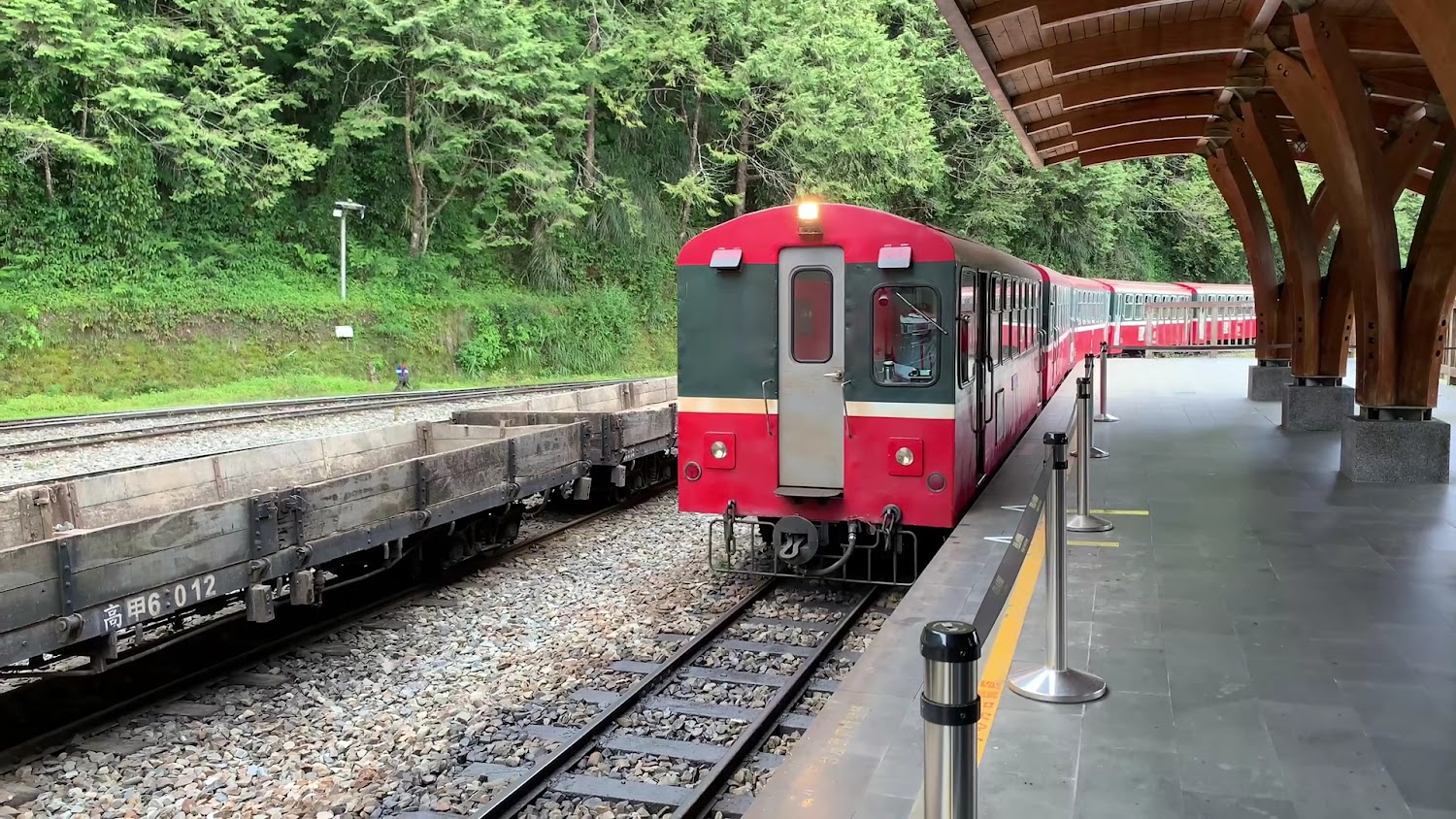 最新|阿里山小火車的完整旅遊指南|精選景點與實用資訊