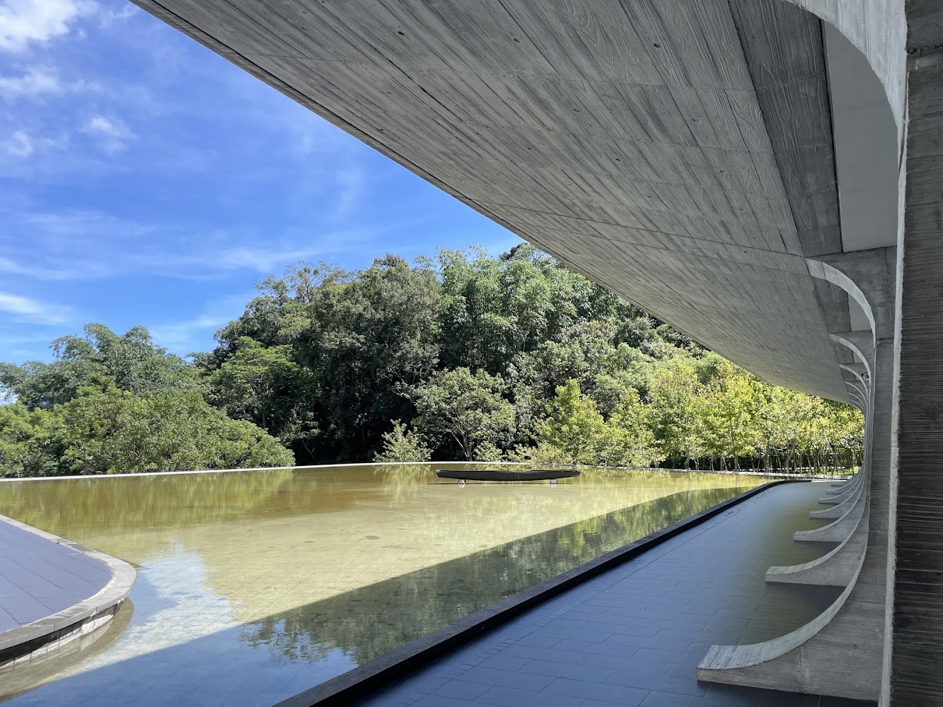 所有照片｜向山遊客中心的驚人發現：探索日月潭的絕美風景
