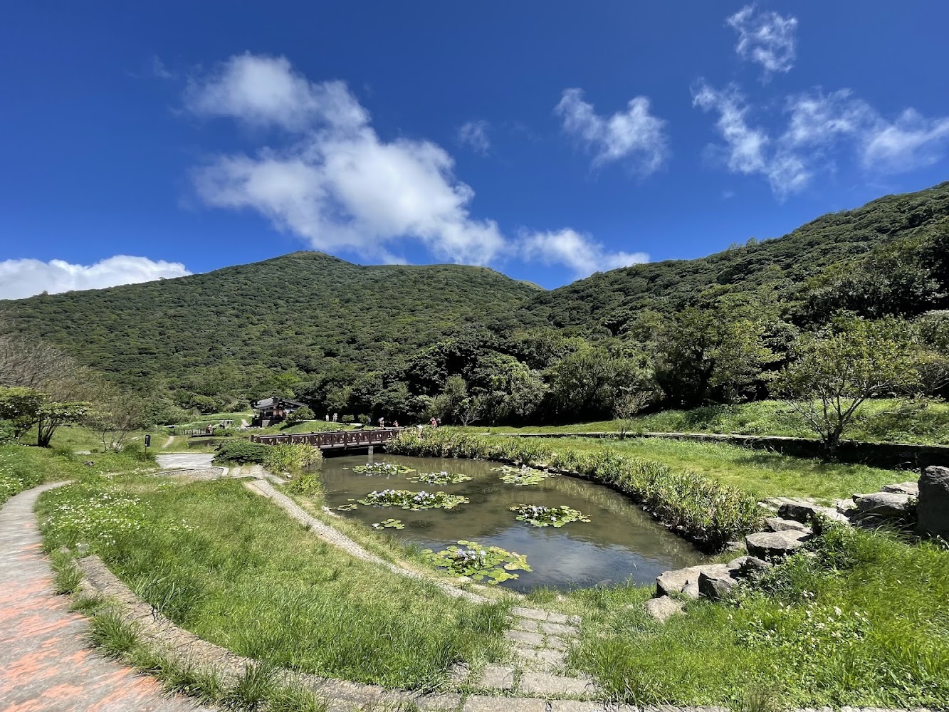 最新｜北部一日遊：享受陽明山國家公園、舊地方飛機觀景台、大安公園、碧潭旅遊景點與台北101觀景台的完美行程