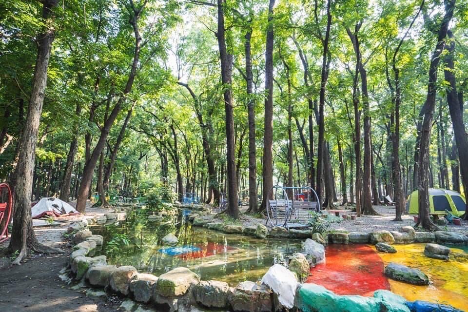 新八大森林生態露營區的綠意盎然，是親子露營的最佳選擇