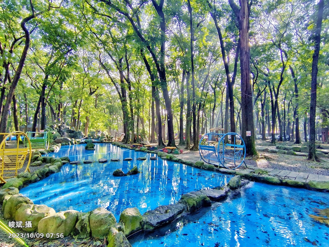 新八大森林生態露營區｜新八大森林生態露營區介紹：最佳親子露營選擇