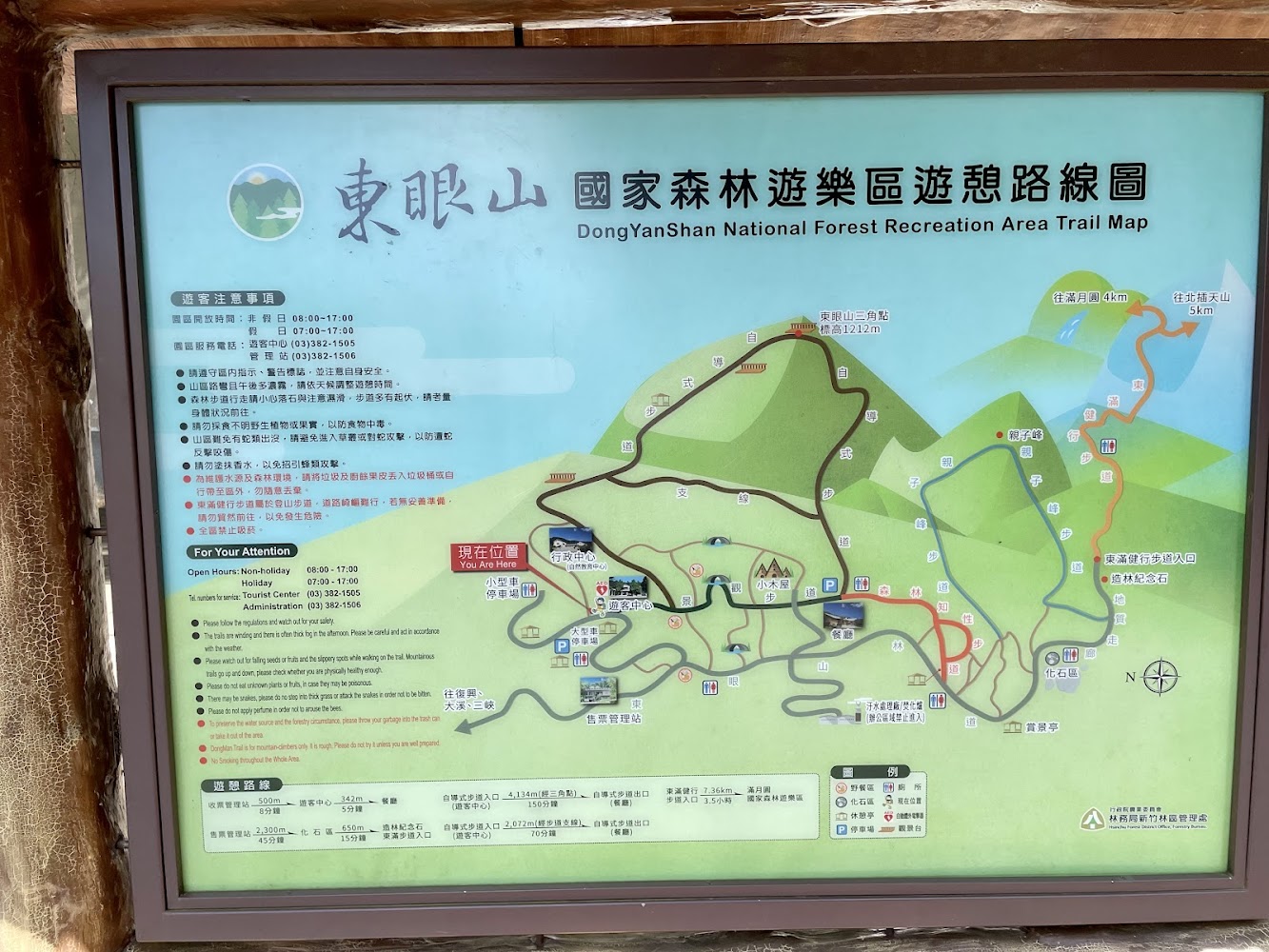 影片｜探索東眼山國家森林遊樂區：最佳自導式步道與秘境景點推薦