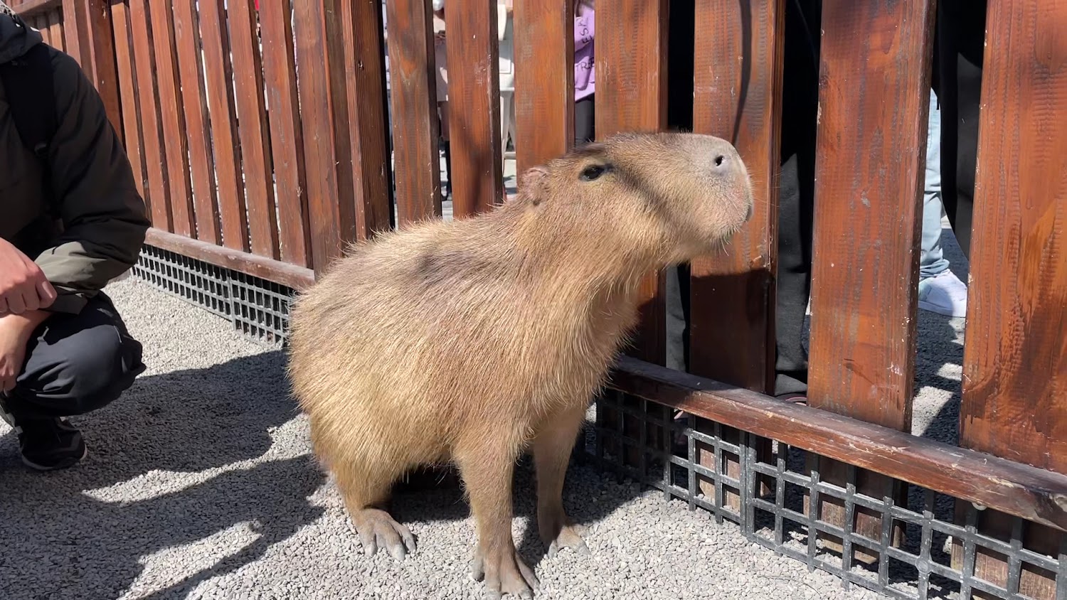 最新消息｜張美阿嬤農場的親子體驗：家長與孩童的學習與樂趣