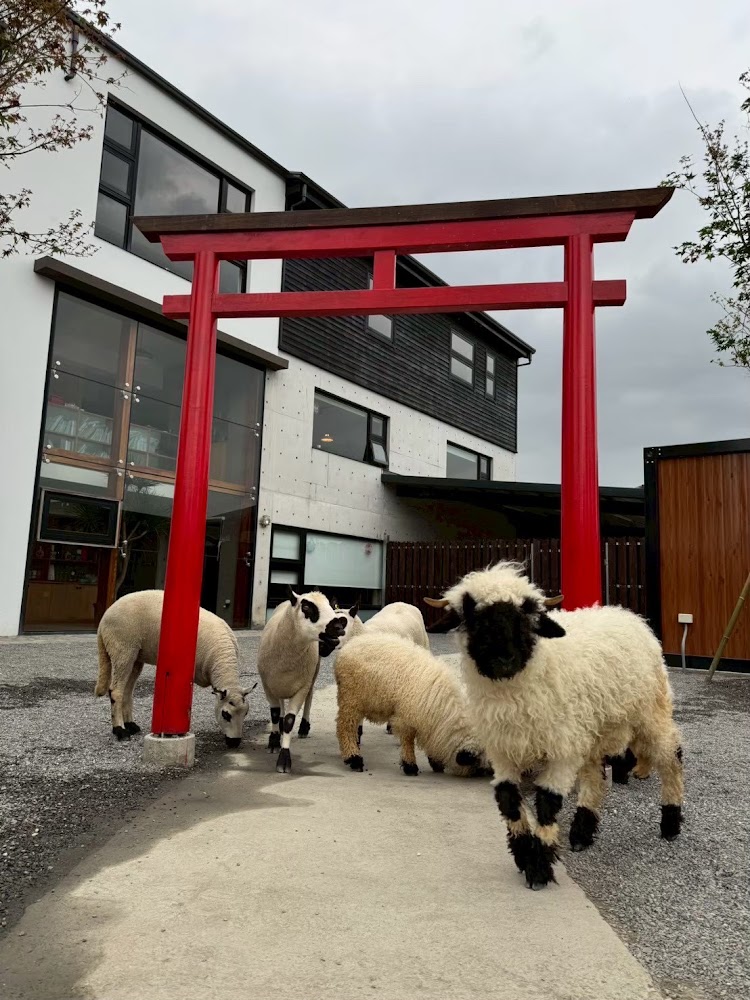 影片｜張美阿嬤農場的親子體驗｜寓教於樂的有機農法之旅