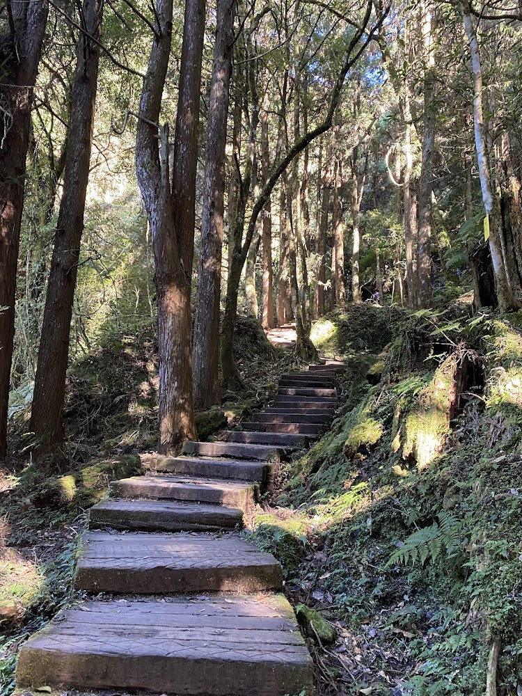 杉林溪燕庵步道｜杉林溪森林遊樂園攻略｜四大特色讓你玩得盡興