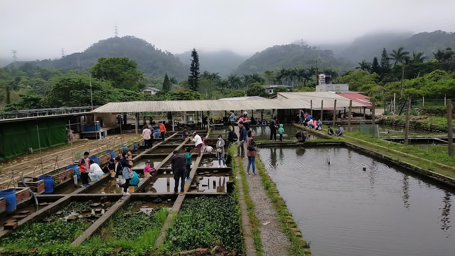 鹿｜探索花鹿秘境：享受大自然的美好時光