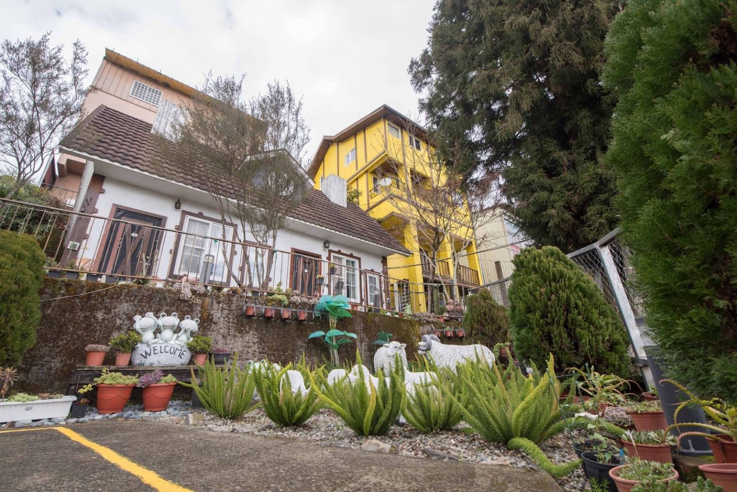 住宿體驗｜清境住宿推薦：夢幻般的清境31民宿，絕佳觀星、日出、雲海體驗！