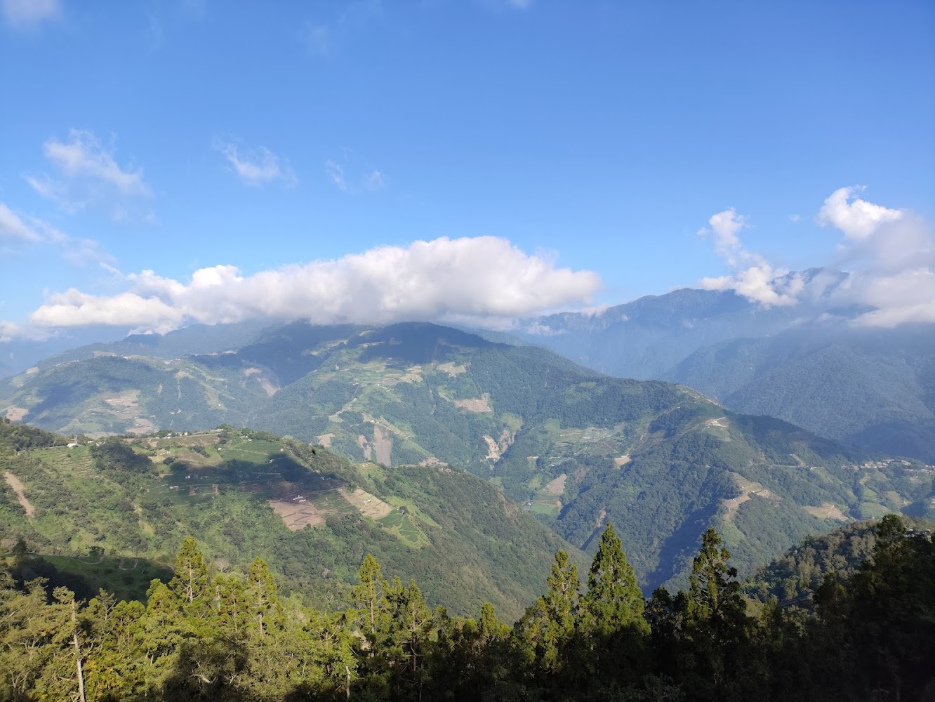 清境農場的美麗探索｜親自然旅遊的最佳選擇
