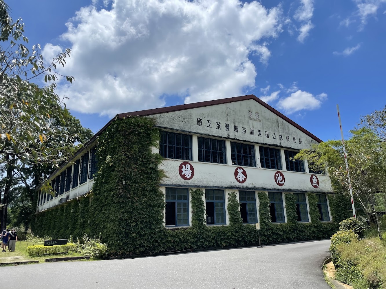 古董阿薩姆茶農場|日月潭老街探索之旅:發現隱藏美食與必訪景點