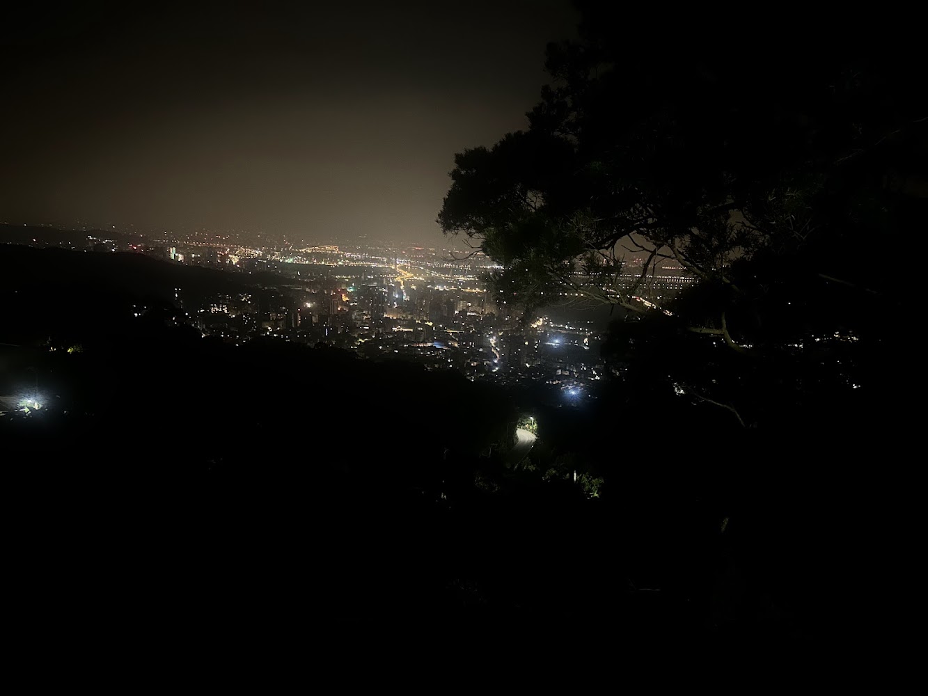 陽明山景點攻略｜2025年不可錯過的旅行亮點