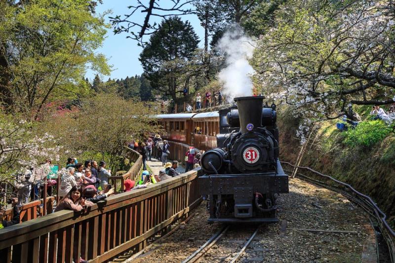 阿里山五奇必看！森林鐵路、日出雲海、美食住宿完整指南