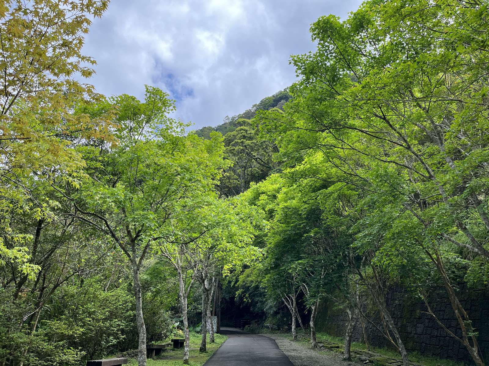 奧萬大國家森林遊樂區旅遊完全指南｜解決你的旅遊困難
