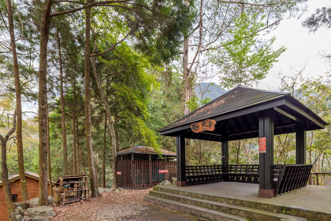 台中八仙山一日慢行｜看瀑布、聽溪聲、在森林裡深呼吸